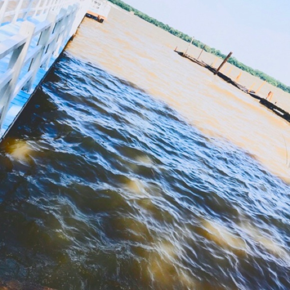 Meet your Posher, Adelina